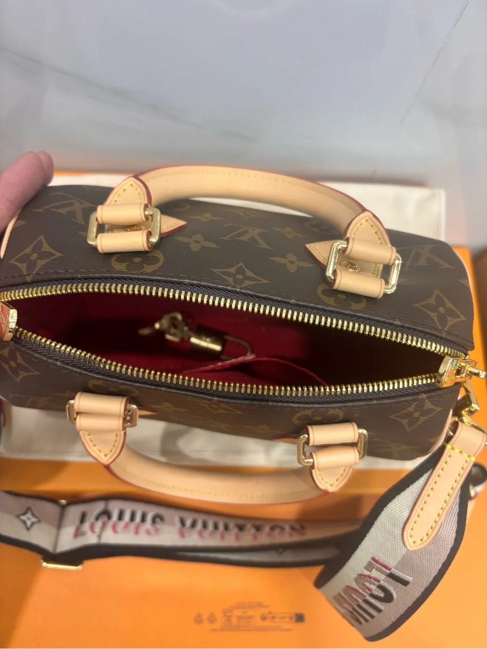 Louis Vuitton Monogram Mini Satchel with Branded Canvas Strap